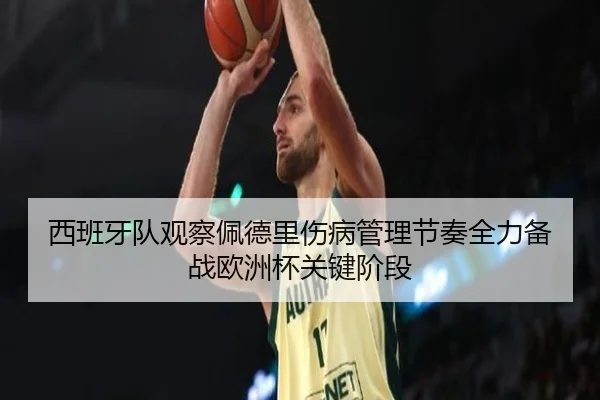 西班牙队观察佩德里伤病管理节奏全力备战欧洲杯关键阶段